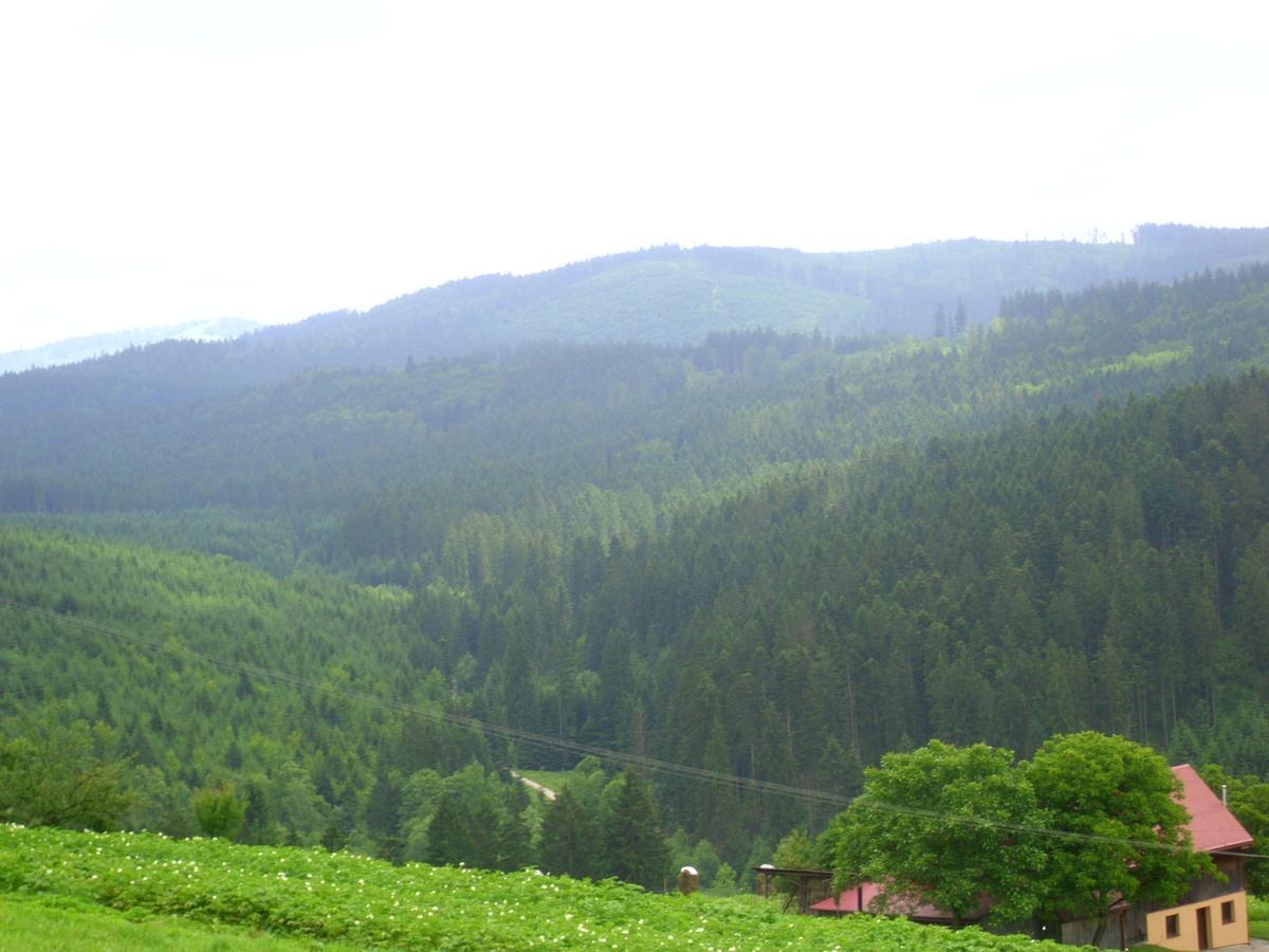 Domek U Malysza Istebna Exterior photo